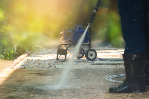 Best Driveway Pressure Washing  in Lindstrom, MN